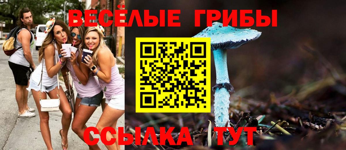ГАШИШ Владивосток