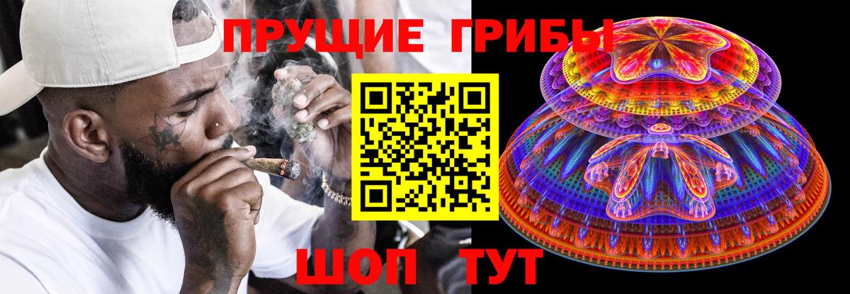 Галлюциногенные грибы Magic Shrooms Владивосток